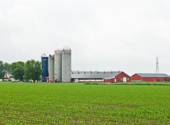 Gemiddeld groeide een Canadees mpr-bedrijf met 3 koeien in 2024