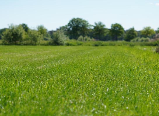 In totaal voerden de onderzoekers bijna 800 gasmetingen uit op tien graslandlocaties op zandgrond