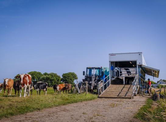 Melkveehouders Dirk en Isabella Gravesteyn melken jaarrond met de mobiele melkwagen