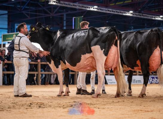 Het algemeen kampioenschap zwartbont kwam vorig jaar op naam van Bons-Holsteins Koba 245 (v. Doorman)