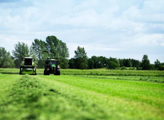 Niet zaaien met de zomer in je rug, maar met de zomer in je hoofd