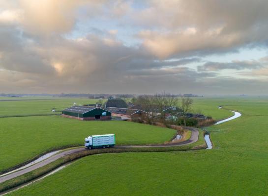 Naast een hoge melkprijs beurden melkveehouders in mei ook veel voor hun slachtkoeien en nuchtere kalveren