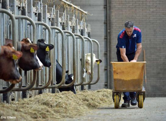 De indexdraai levert de nodige verschuivingen op in het klassement