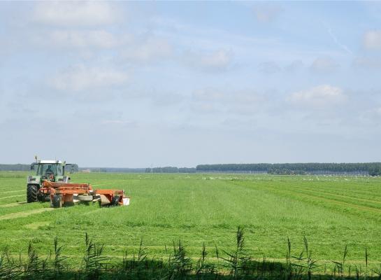 Om het gras smakelijk te houden, is een mooie wei met etgroen nodig