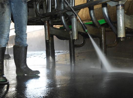 De onderzoekers vonden virusdeeltjes in het water van het schoonmaken van melkapparatuur, vloeren of de opvang van melk van zieke koeien