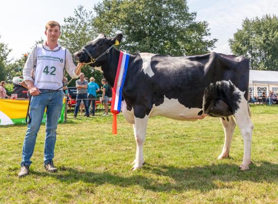 Sidekickdochter Emma 308 won in Oldebroek zowel de titel bij de jonge koeien als het algemeen kampioenschap (foto: Cilia Hoekman)