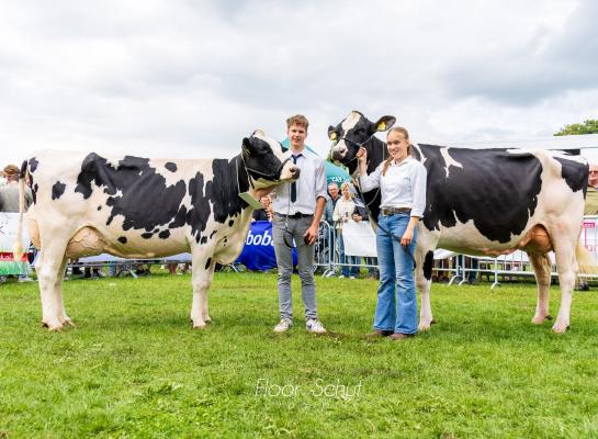 De Pettershoeve Danielle 38 (links) en De Wijde Blik Marilino 3 (rechts) zegevierden in Ommen (foto: Floor Schut)