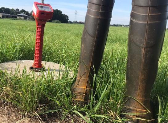 Op veel plekken zit er al roest op het gras