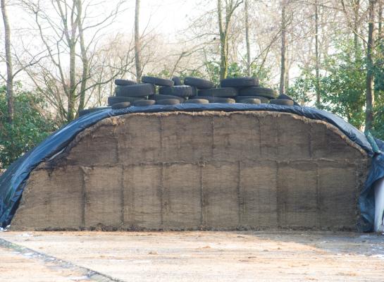 Bij de opname van voorjaarskuilen is de methaanproductie het hoogst