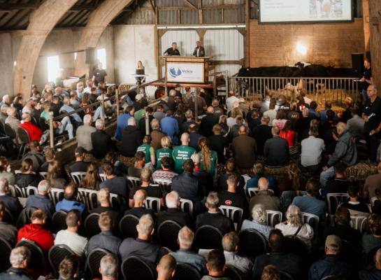 De belangstelling voor de Boerenkoeienveiling was groot (foto: Niek van Engelen)