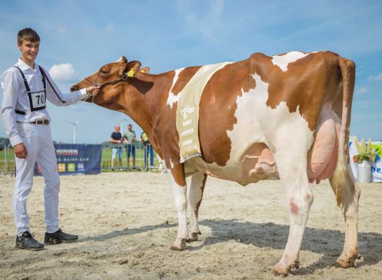 De dagzege bij roodbont was voor Mina 255 (v. Rager) van zuivelboerderij Van der Bas (foto: Koeienfoto’s.nl)