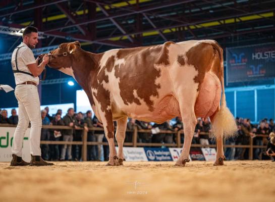 Vorig jaar won Jansje 703 (v. Jacot) van firma De Groot uit Everdingen de roodbonttitel