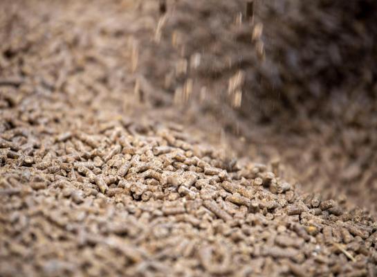 De te hoge waarde bleek afkomstig te zijn van een vracht Franse maïs