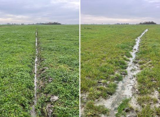 De linkergreppel voert het water vlot af, de rechter kan wel een opfrisbeurt met de greppelfrees gebruiken