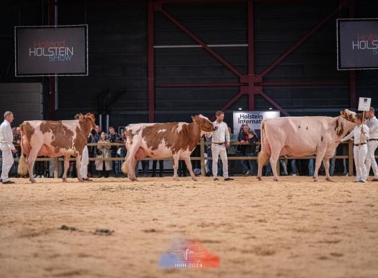 Voor de derde keer op rij won de familie Pinkert in 2024 de bedrijfsgroepencompetitie op de HHH-show (foto: Fleur Maartje Bakker)