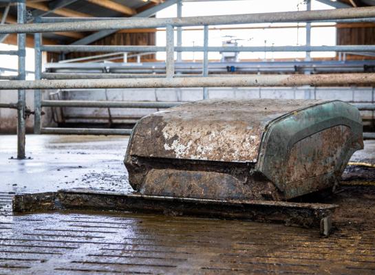 De aanschaf van een mestrobot is een van de weinige maatregelen die voldoet aan de eis van de Vlaamse overheid om de ammoniakemissie met vijf procent te verminderen