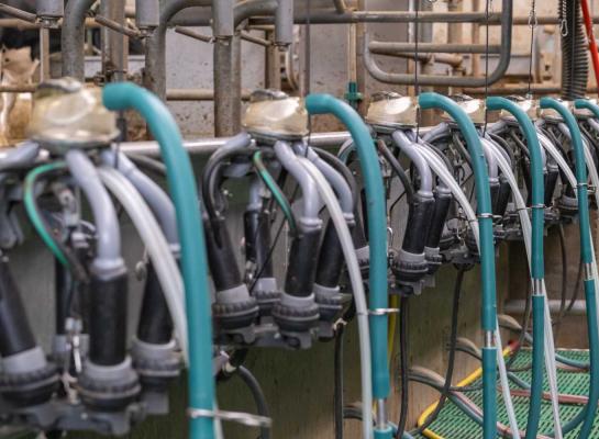 Vooral in België (+6%), Duitsland (+5%), Frankrijk (+5%) en Polen (+5%) leverden melkveehouders flink meer melk aan