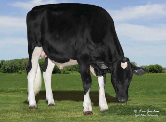 Siemers RZ Pazzle debuteert met +15 voor exterieur