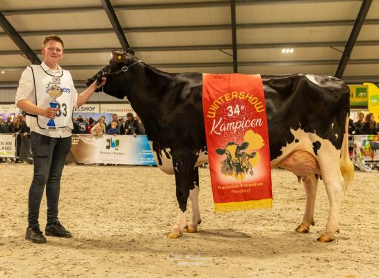 Het algemeen kampioenschap in Dronten was voor VVH Iris 16 (foto: Cilia Hoekman)