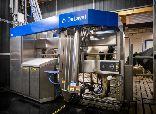 DeLaval VMS V300-melkrobot met Flow-Responsive Milking op Hamra Farm