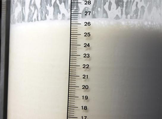 Aaff-klanten die tussen de 9.000 en 10.000 kg melk per koe produceerden hadden vorig jaar de hoogste liquiditeitsmarge met ongeveer 12 euro per 100 kg melk