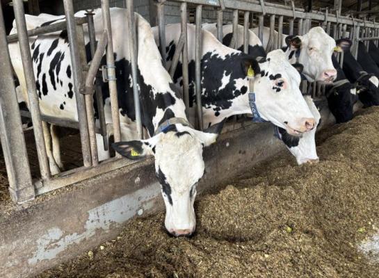 Extra energie voor gerichte ondersteuning op cruciale momenten