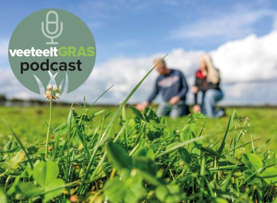 Kruidenrijk grasland is gebaat bij een maairegime van elke vier weken