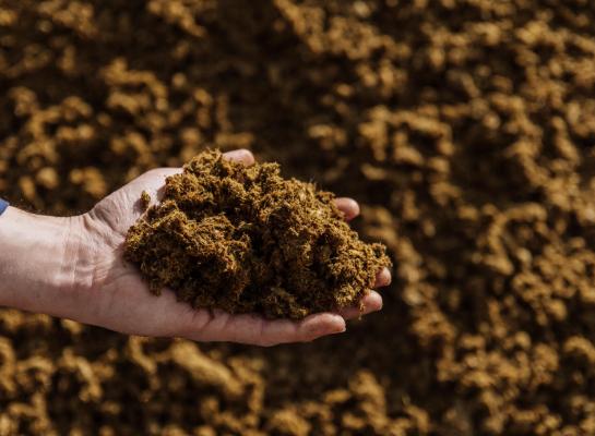 Dikke fractie had de meest positieve effecten onder de grond, kunstmest boven de grond