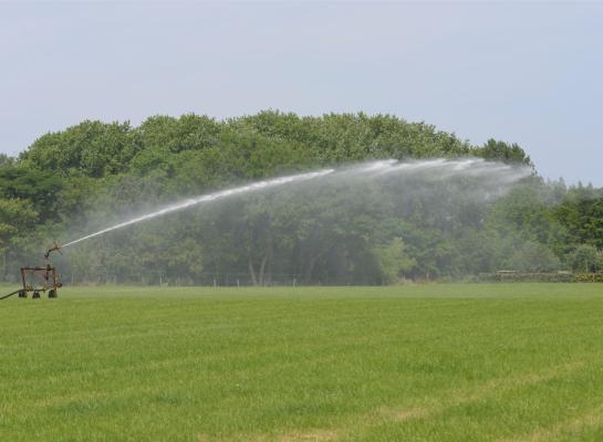 Er is genoeg water in Nederland, maar niet op het juiste moment beschikbaar