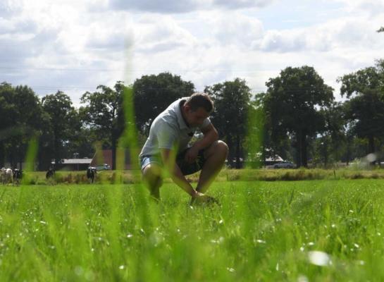 Door de regenval kan de onkruiddruk hoog zijn