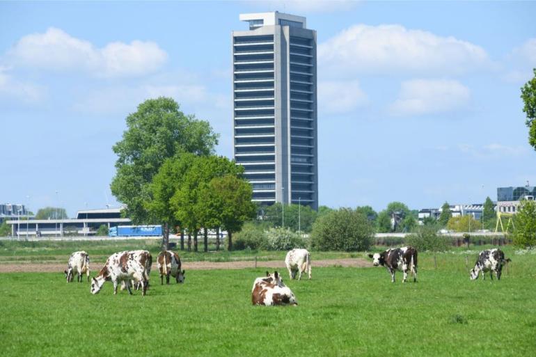 Met 5800 hectare was het verlies aan landbouwgrond het grootst in de provincie Noord-Brabant