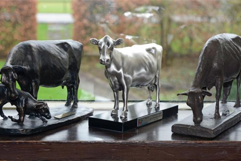 Zwitserse veehouders krijgen een premie van 200 euro voor iedere koe met minimaal zeven afkalvingen