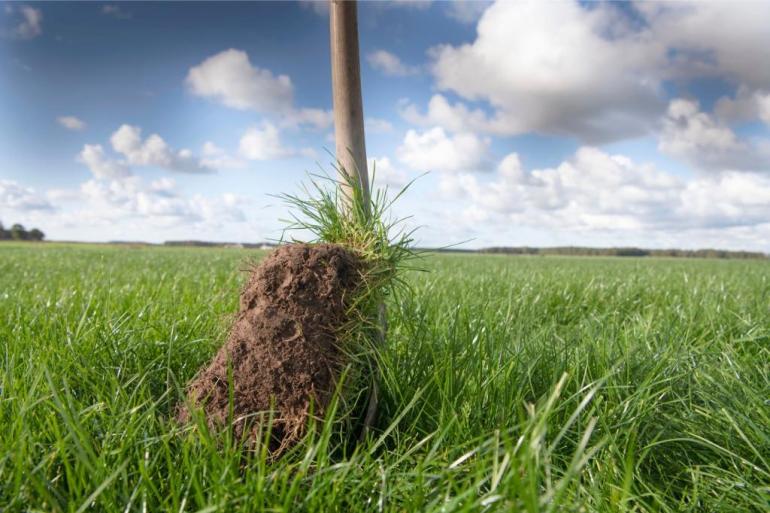 Verschraling van de bodem zorgt voor het vrijkomen van CO2