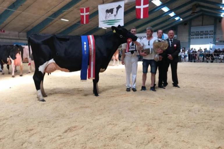 Een naamloze dochter van VH Master won de titel Miss Holstein (foto: Dansk Holstein)
