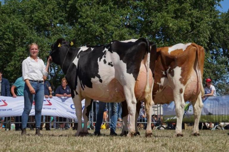 De kampioenen van de middenklasse: Sien 286 en Jenny 5 (foto Lianna Kolff)