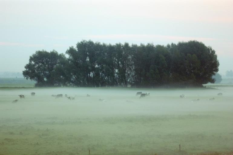 Grasland steeg in de eerste zes maanden van dit jaar vier procent in prijs.