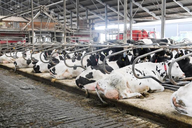 Drie melkveebedrijven met twee verschillende types emissiearme stallen krijgen geen natuurvergunning toegewezen, zo besluit de Raad van State