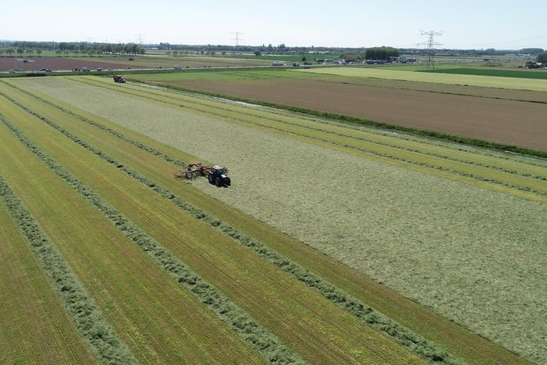 Wie gaat het landschap beheren wanneer veehouders dat niet meer doen?