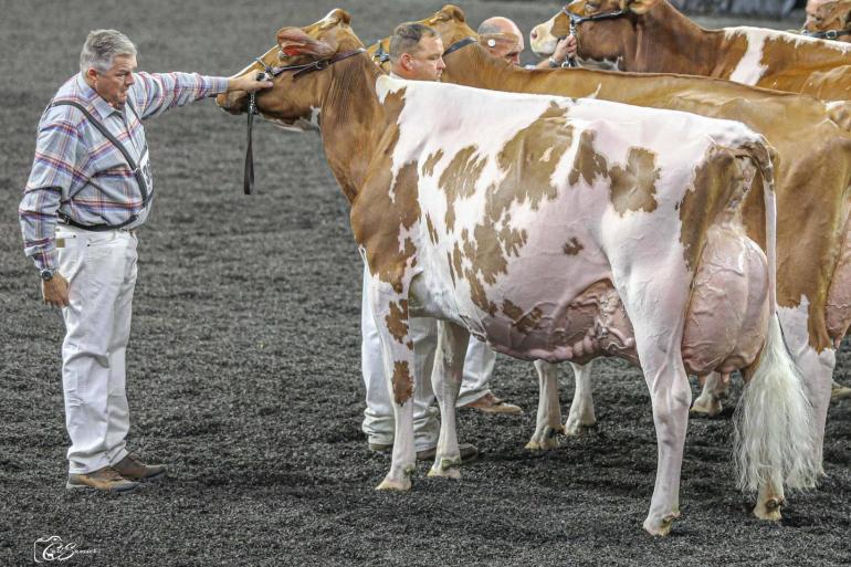 Joline won in Madison dit jaar het reserve algemeen kampioenschap