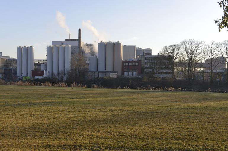 De magere melkpoeders zakken deze week naar de laagste notering van dit jaar