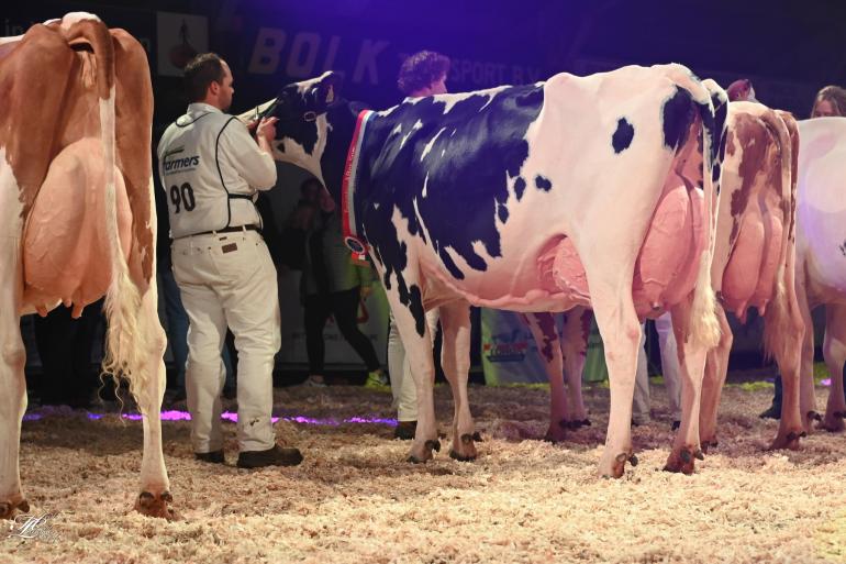 Het algemeen kampioenschap zwartbont ging naar Moguldochter Amvh Tanja 1103 (foto: Henk Lomulder)