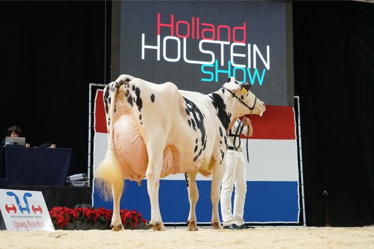 Voor het eerste is de HHH-show in Leeuwarden