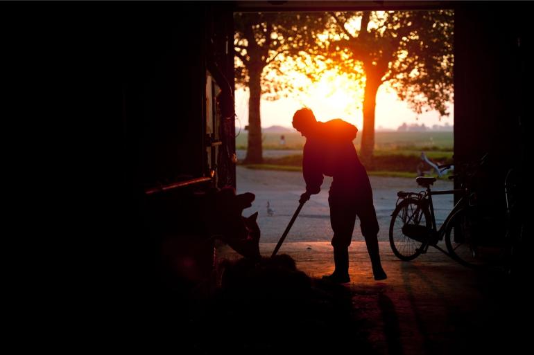 Komend half jaar wordt belangrijk voor de toekomst van de Nederlandse landbouw