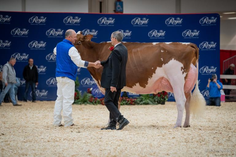 Maple won in Toronto het algemeen kampioenschap rood- én zwartbont