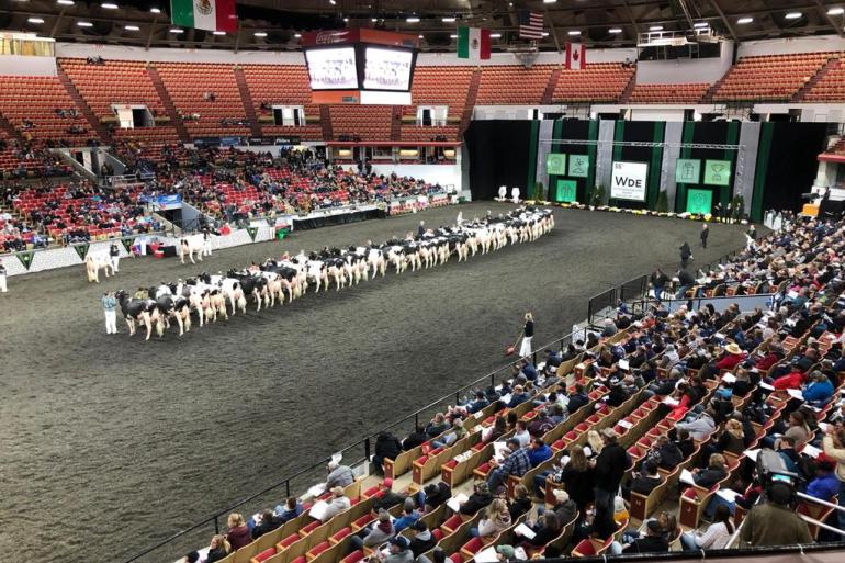 De juryleden voor de shows tijdens de World Dairy Expo voor 2023 zijn inmiddels aangewezen (foto: René de Wit)