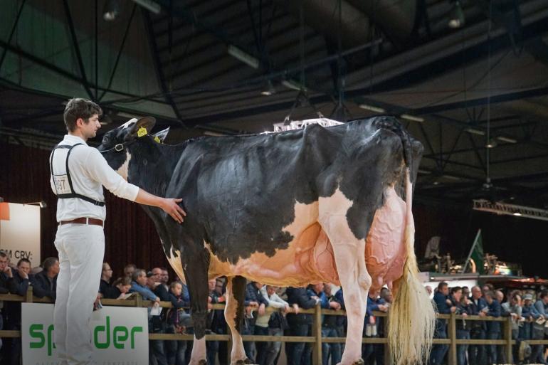 Op de vorige Zuidwesthoekkeuring zegevierde New Moore Esmeralda 38 (foto: Lianna Kolff)