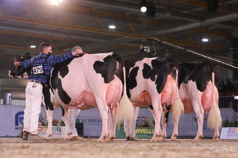 Voor de keuring in Cremona zijn ruim 800 dieren aangemeld (foto editie 2021)