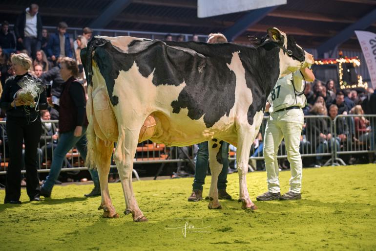 New Moore Esmeralda 103 won in Wanneperveen het algemeen kampioenschap