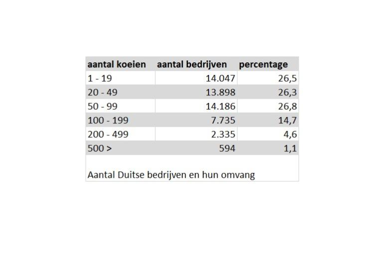 Duitse bedrijven en hun omvang