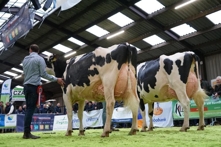 De seniorenkampioenen: Southland Holsteins Delia (v. Dempsey) en Evalyn (v. Jedi)